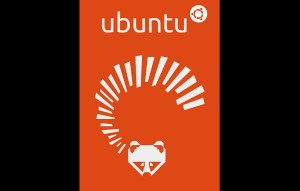 ubuntu 13.04 art work