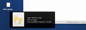 python_script