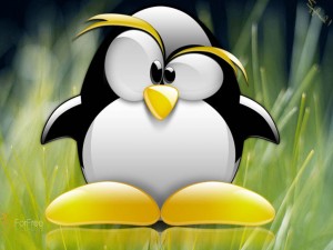 Evil_Tux_Wallpapers_Mad_Penguin_is_Free_to_Desktop