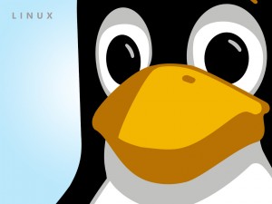 wall_TUX-2