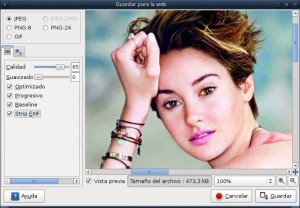 Con una interfaz sencilla el plugin "Guardar para la Web" ofrece variedad de opciones para aligerar el peso de la imagen.