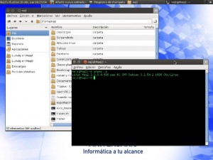 Como se observa en la figura, tenemos un Fluxbox corriendo sobre Debian con un Artwork similar a Ubuntu. 