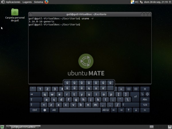 ubuntu_mate21