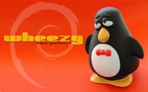 Debian wheezy