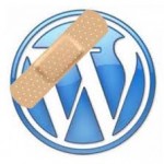 wordpress parches