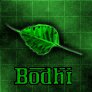 imagen destacada Bodhi Linux